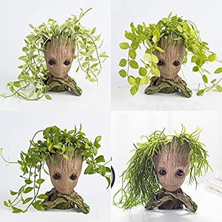 Groot Pot – with plants img