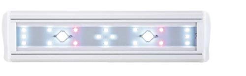 SOBO AL 380 COB Light