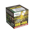 Boshi UVB+ UVA 3.0 Halogen Lamp for Turtle & amp; Reptiles