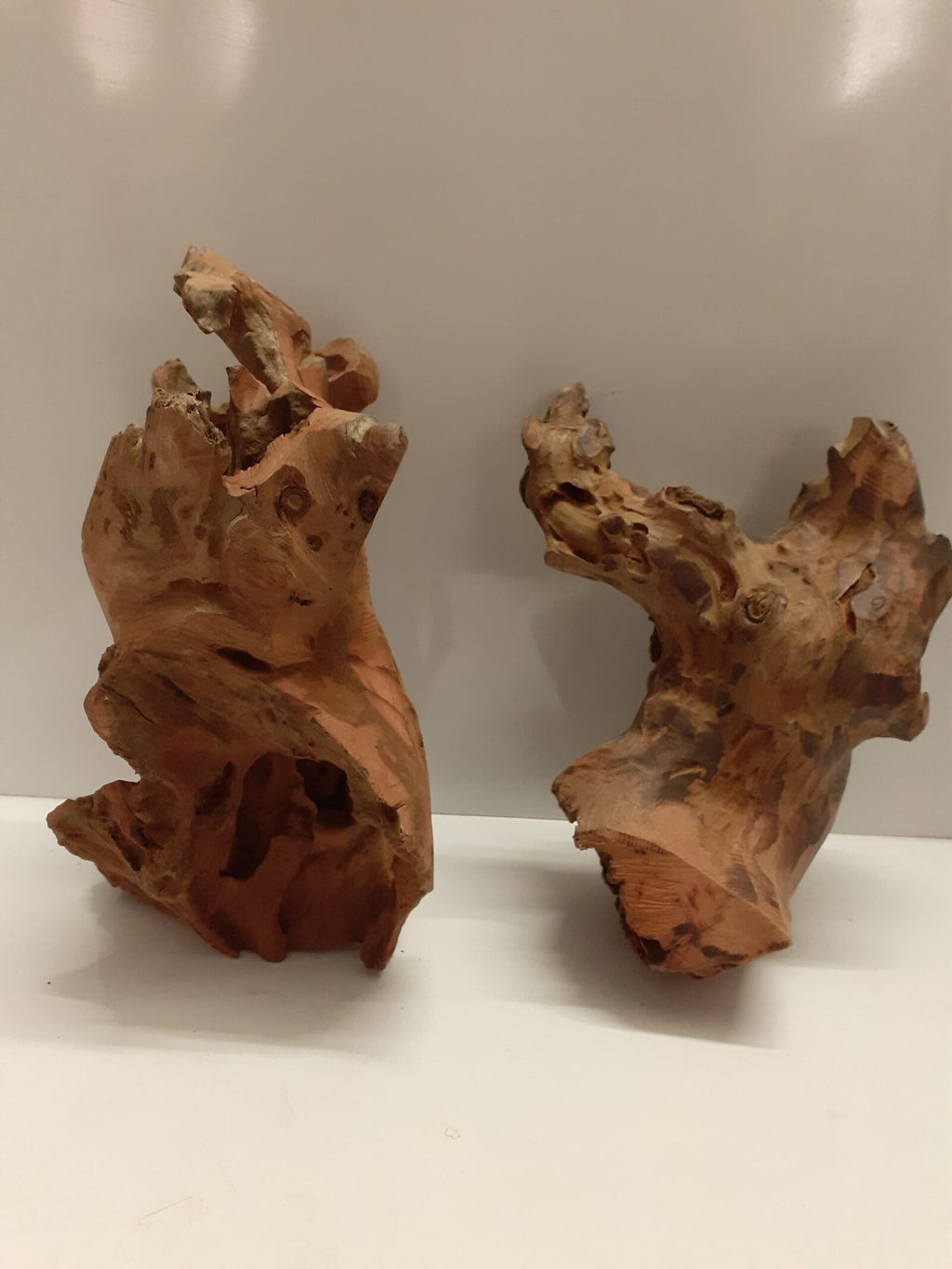 bogwood (