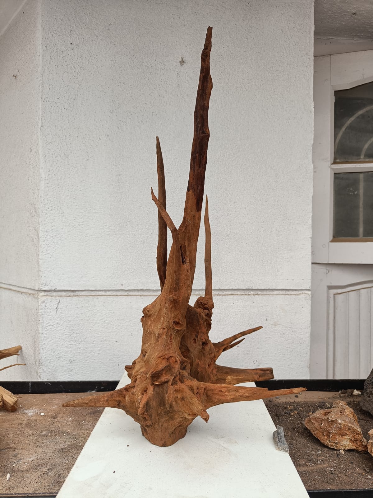 Featurewood