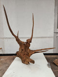 Featurewood2