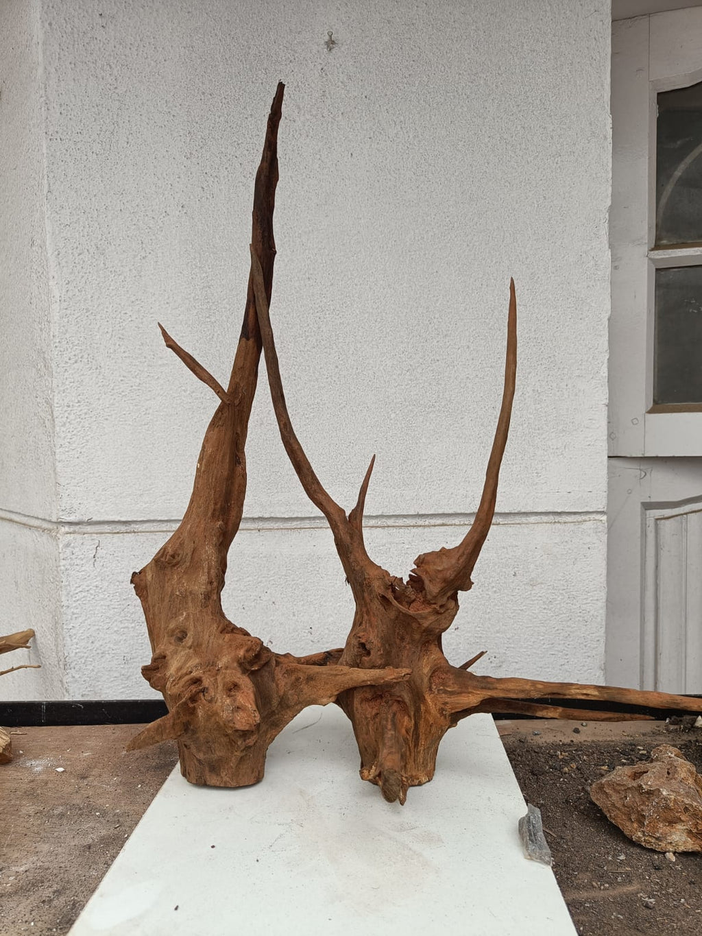 Featurewood3