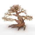 Bonsai img