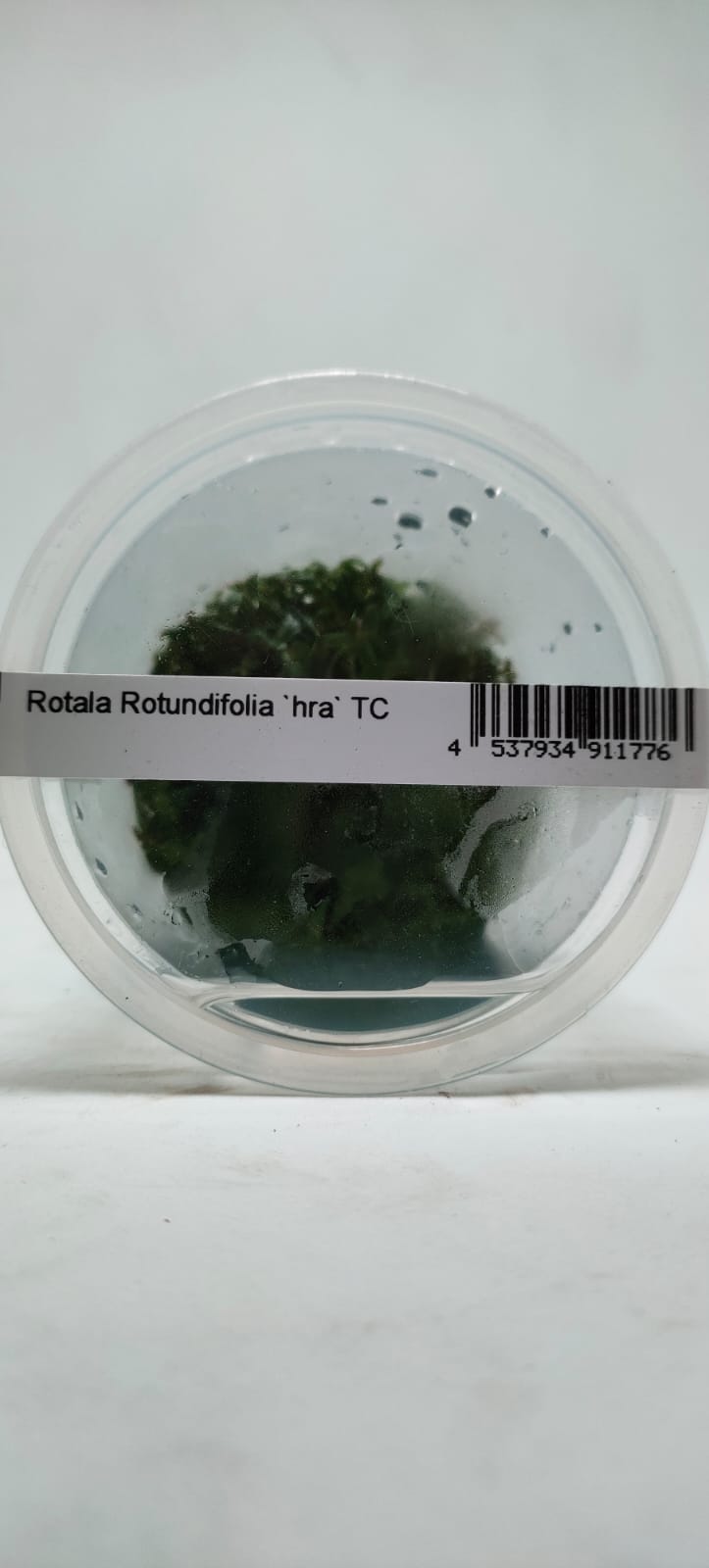 WhatsApp Image 2022-02-13 at 11.45.15 AM (1)