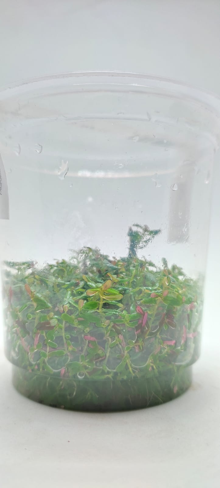 WhatsApp Image 2022-02-13 at 11.45.15 AM (2)