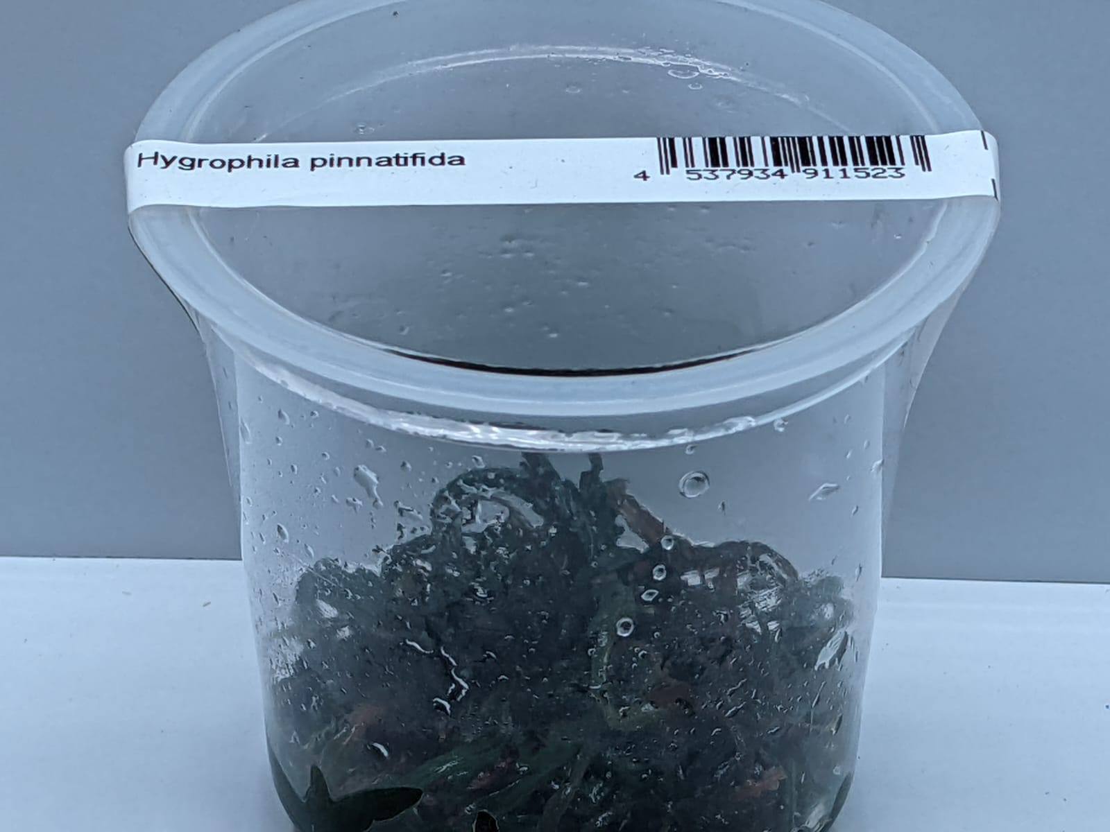 WhatsApp Image 2022-01-01 at 12.38.57 PM (1)