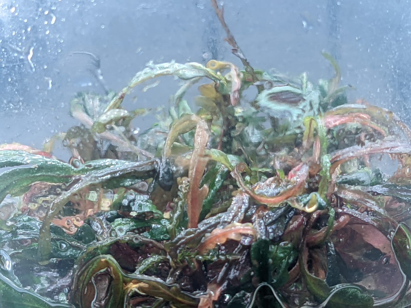 WhatsApp Image 2022-01-01 at 12.38.57 PM