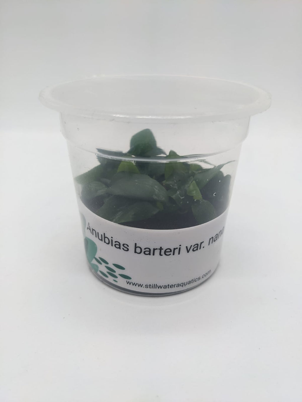 WhatsApp Image 2022-01-05 at 8.11.04 PM