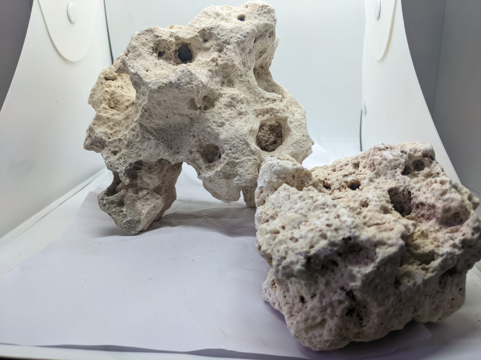 WhatsApp Image 2022-01-08 at 2.38.18 PM (1)