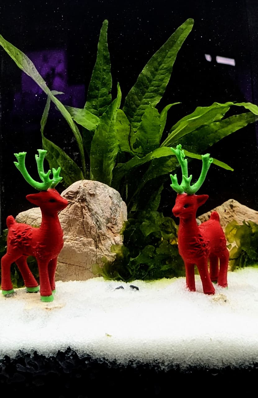 WhatsApp Image 2025-12-13 at 5.54.18 PM (1)