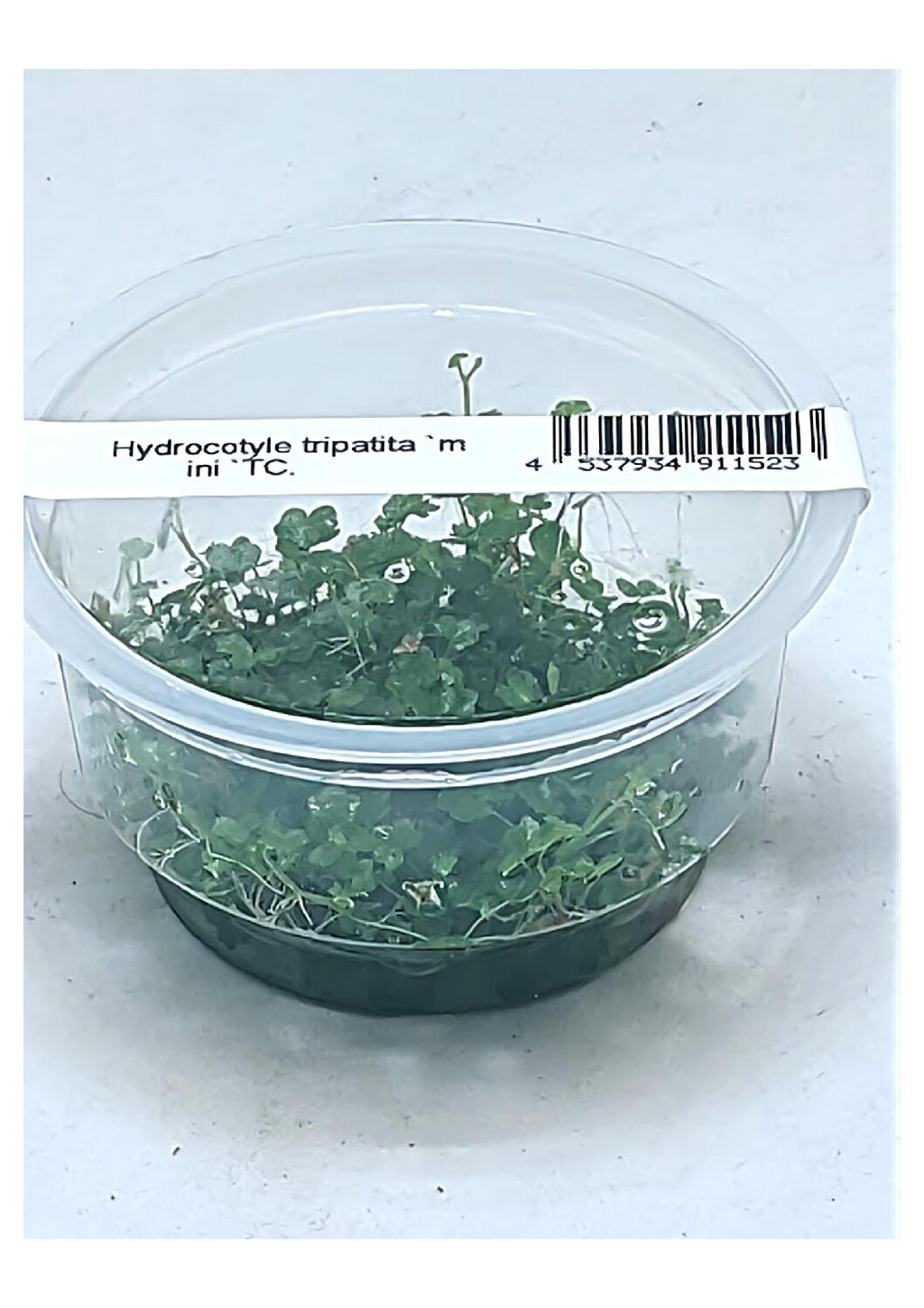 203-WhatsApp-Image-2022-01-19-at-17