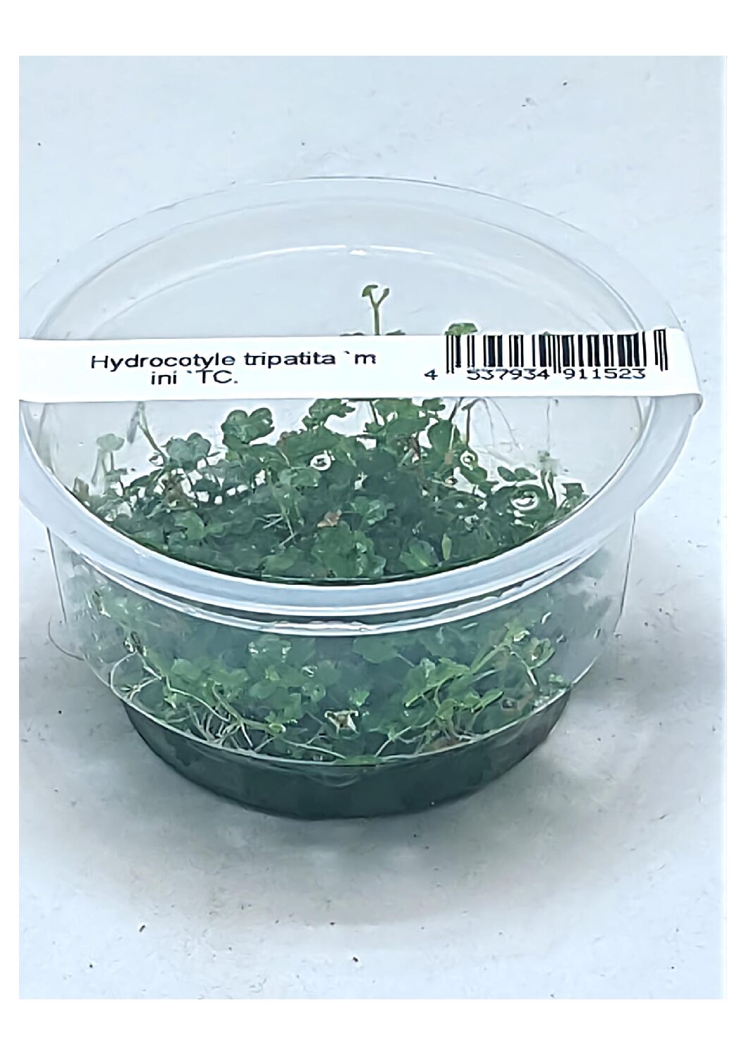 203-WhatsApp-Image-2022-01-19-at-17