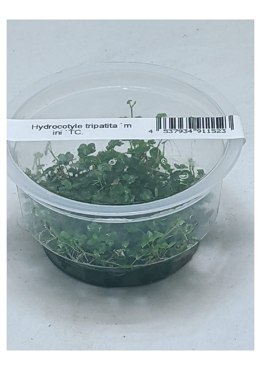 WhatsApp-Image-2022-01-19-at-17.10.58 (1)