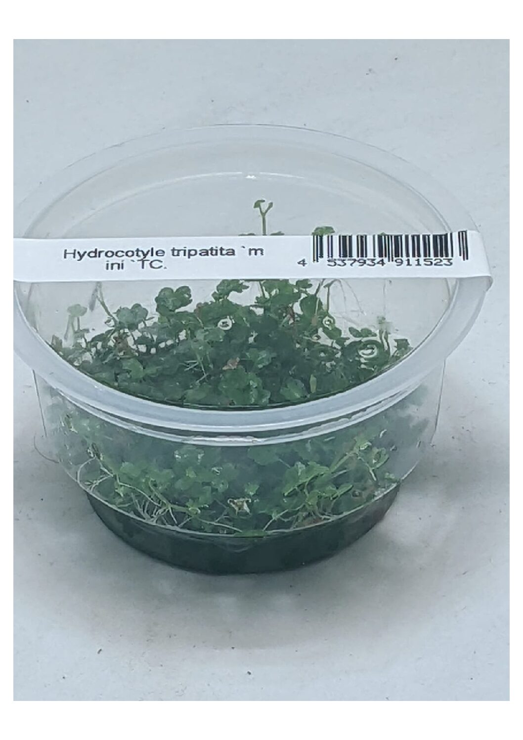 WhatsApp-Image-2022-01-19-at-17.10.58 (1)