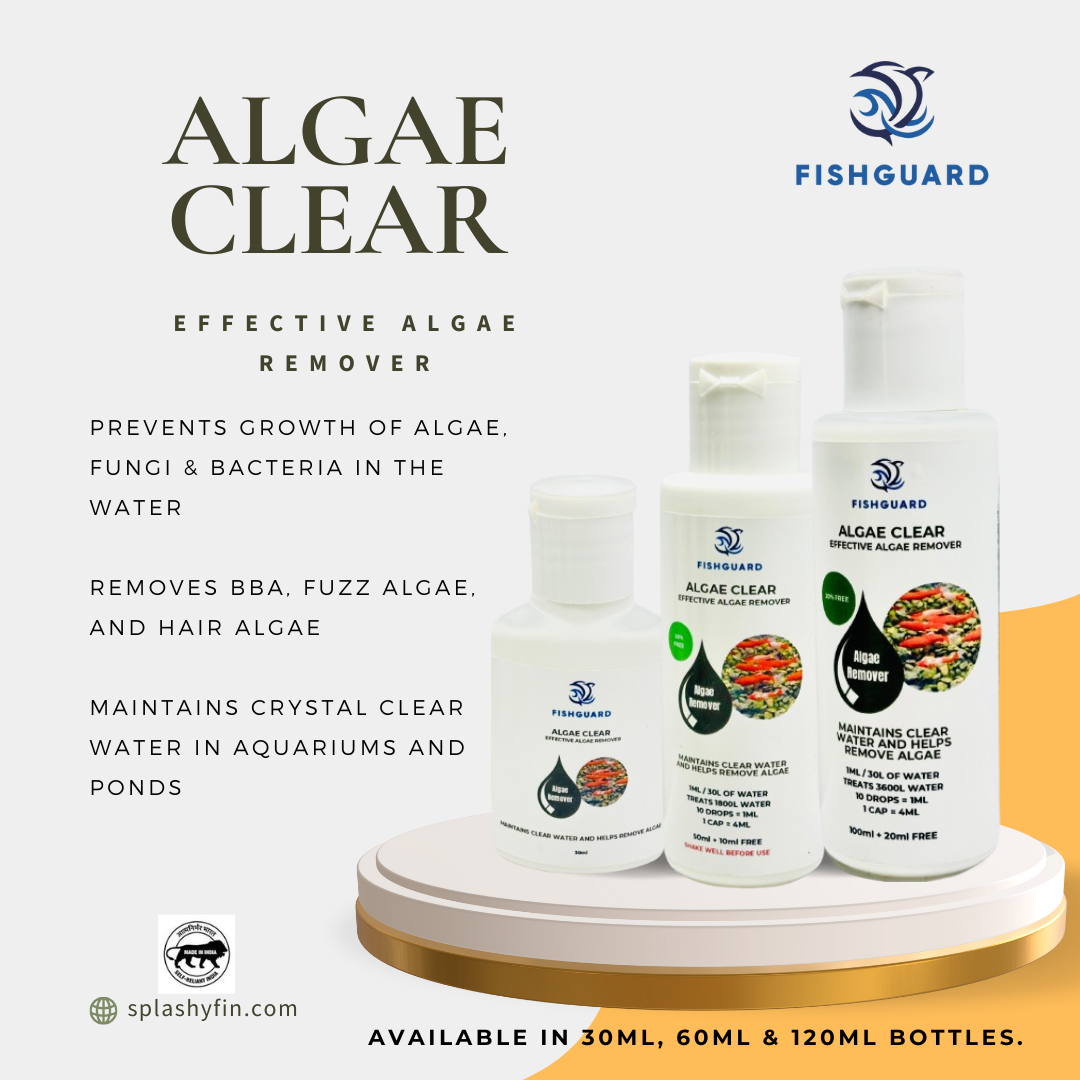 FishGuard – Algae Clear [100ml + 20ml]