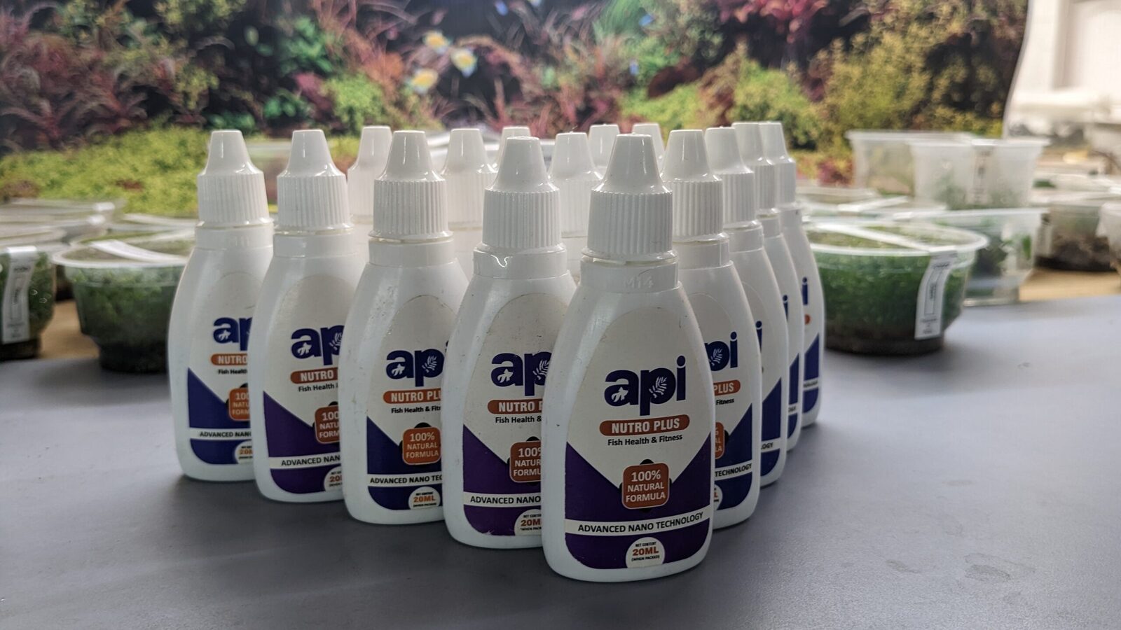 API Nutro Plus at Splashy Fin