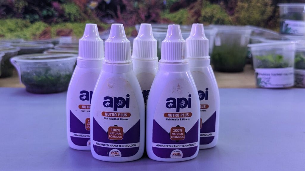 PXL_20221011_085523464