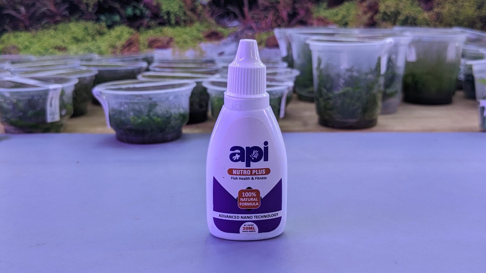 PXL_20221011_085547415