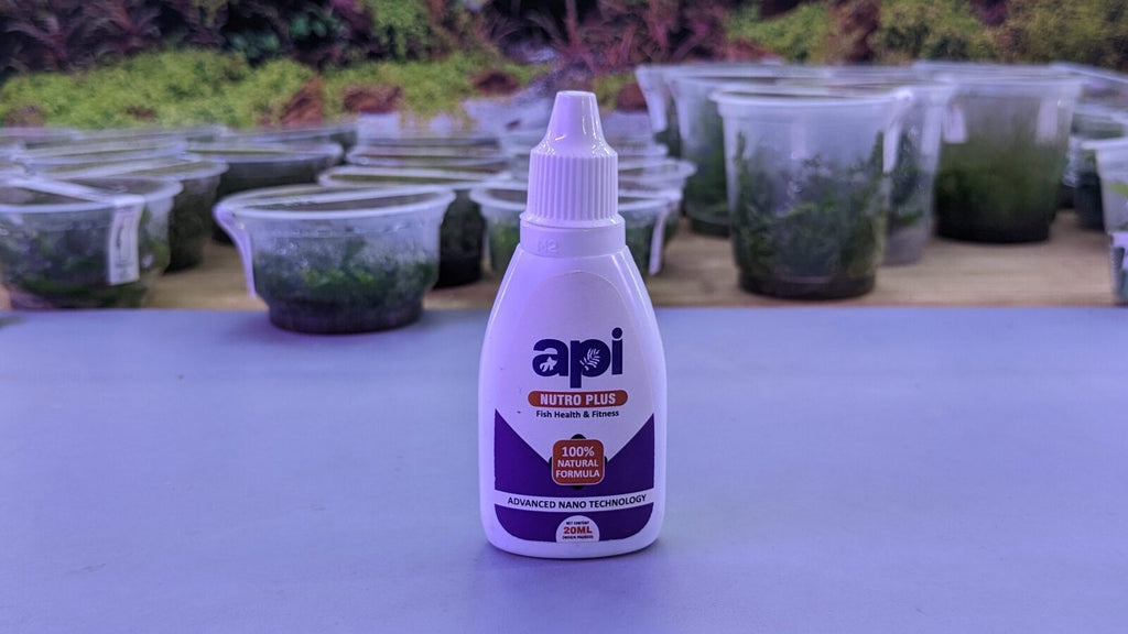 PXL_20221011_085547415