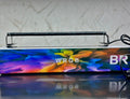Blue Pet BR 40 LED