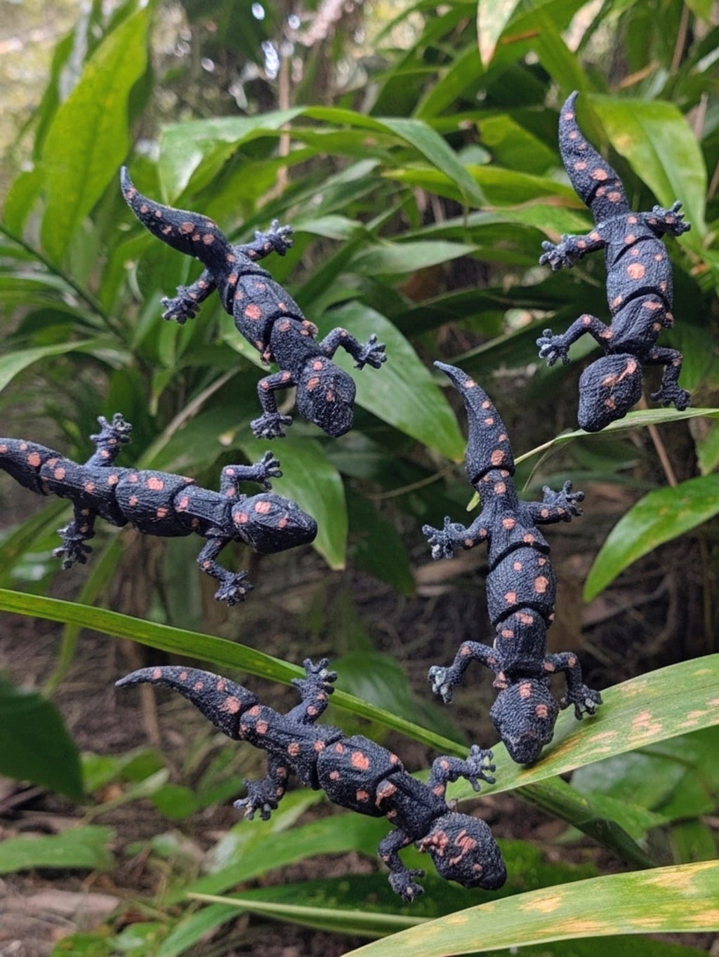 3D Lizard / Gecko - Single