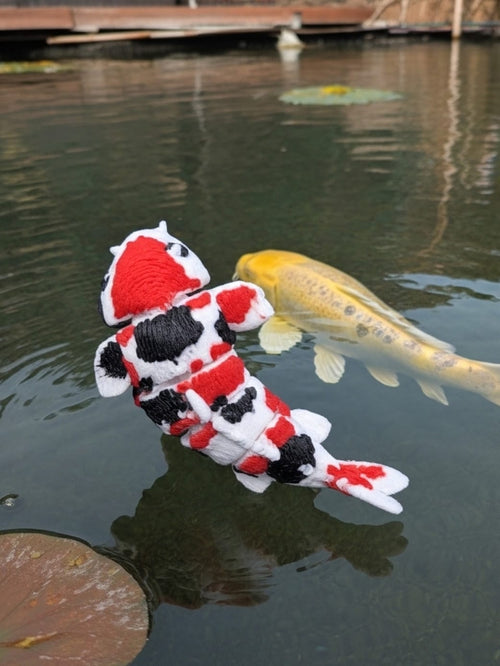 3D Koi Fish (Small) - Single