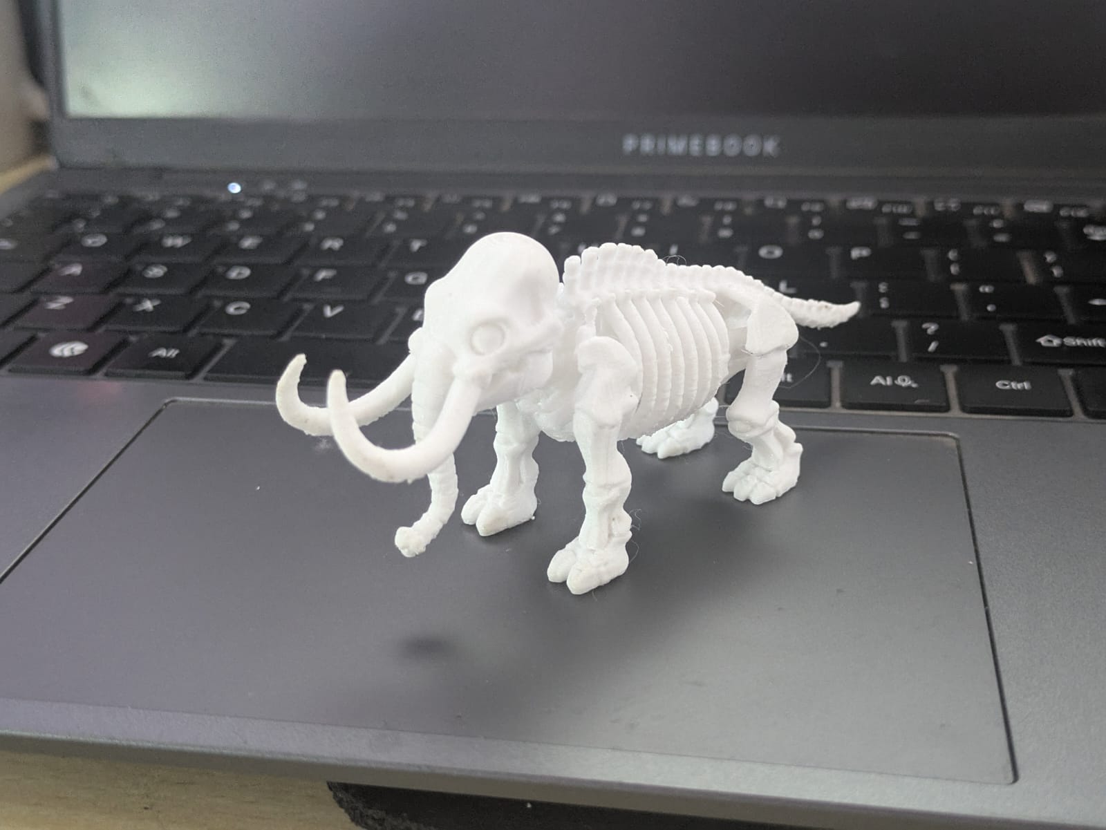 3D Mammoth Skeleton Single