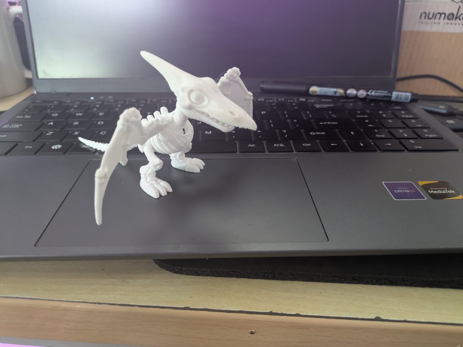 Pterodactyl Dino Big