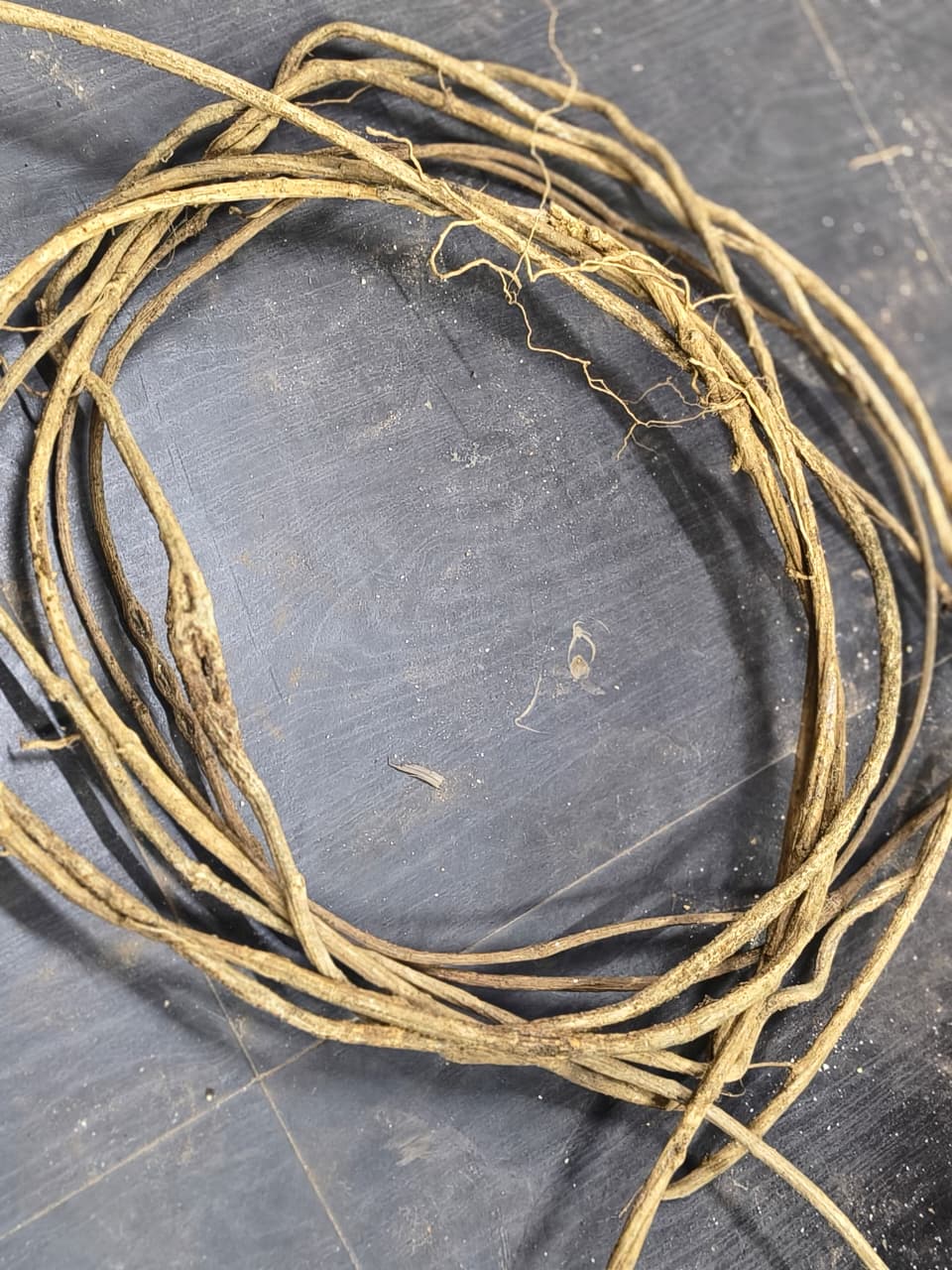 Vine Wood - Per piece - 12 inches