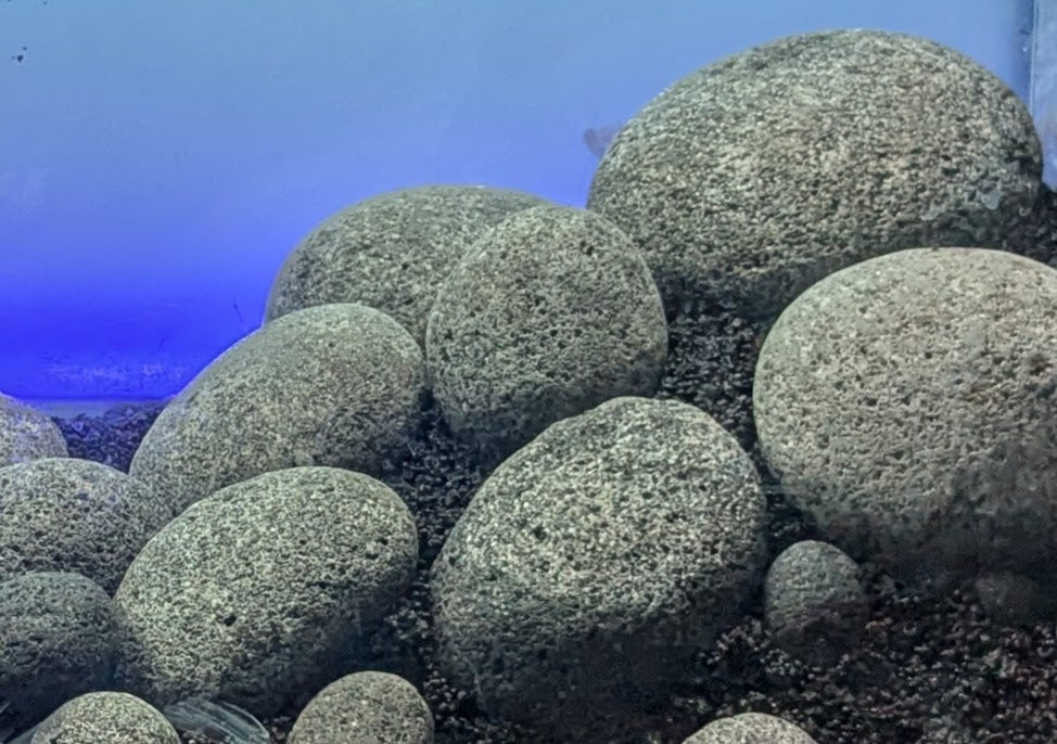 Black Lava Pebbles