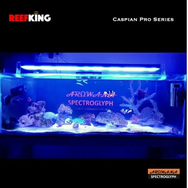 ReefKing Caspian Pro Series Marine Light for FOWLR, Soft & Basic LPS