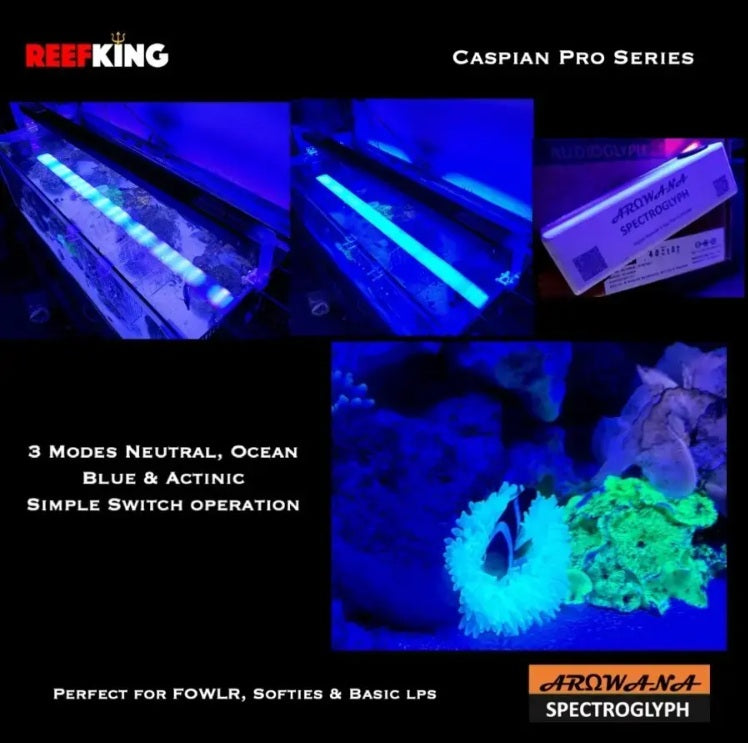 ReefKing Caspian Pro Series Marine Light for FOWLR, Soft & Basic LPS