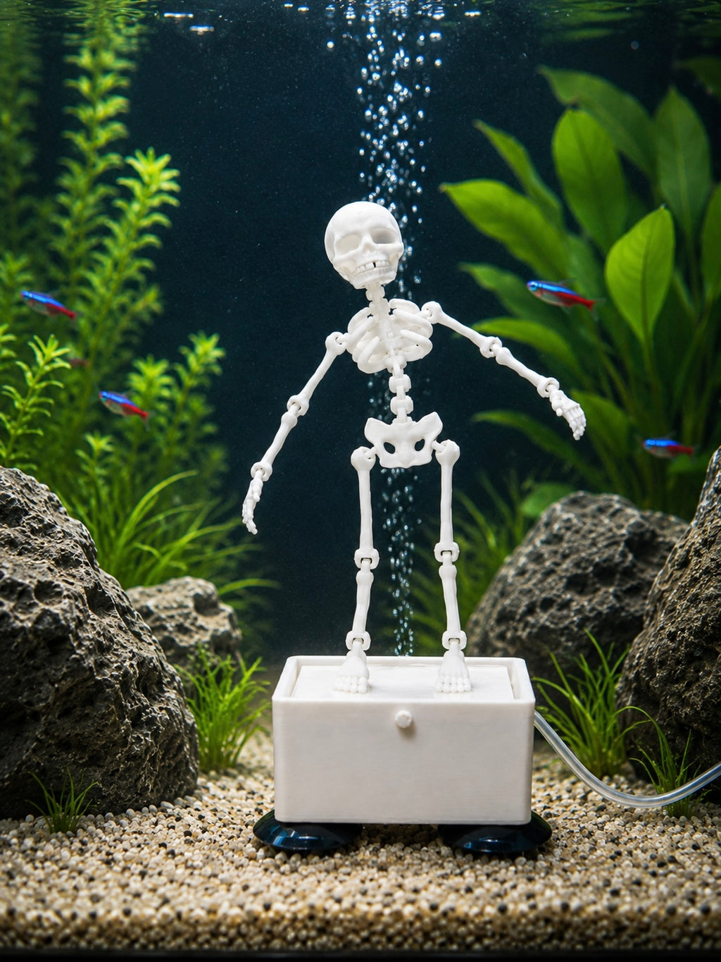 3D Dancing Skeleton