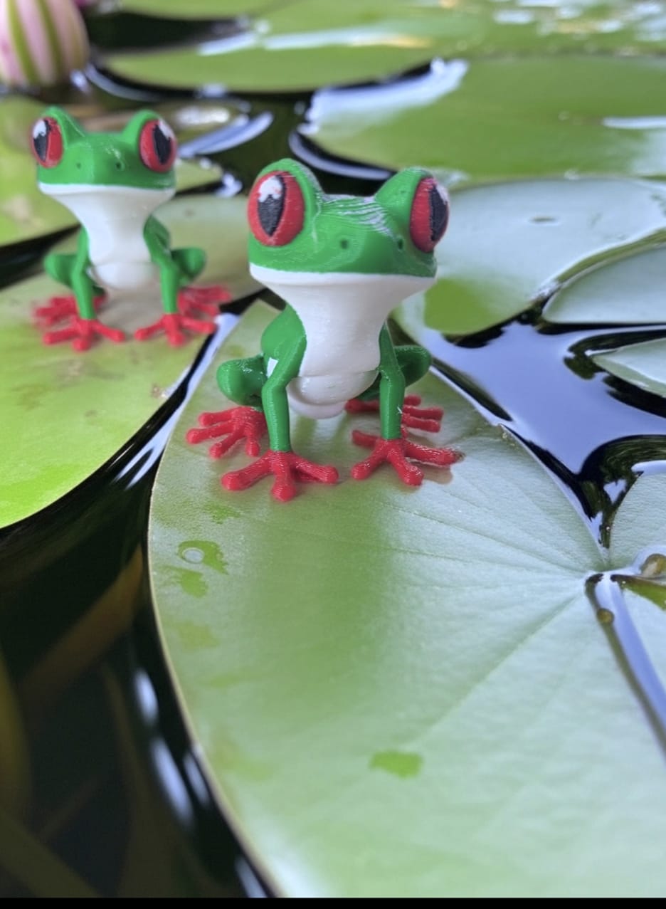 3D Tree Frog - Single