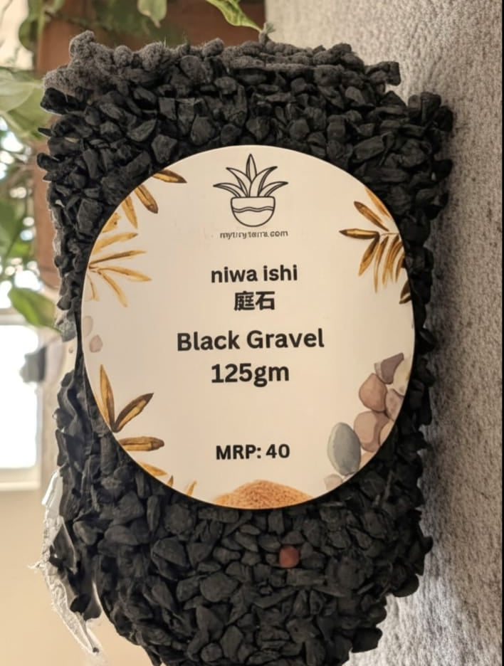Niwa-ishi (庭石) series : Black Gravel - 125gm