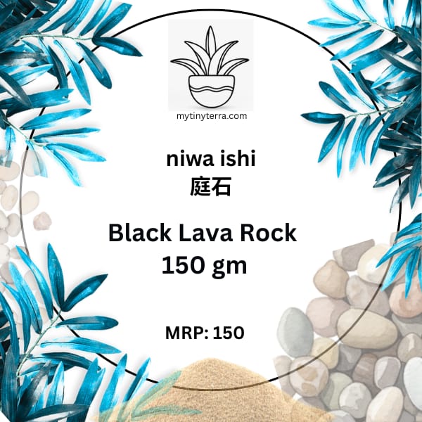 Niwa-ishi (庭石) Series – Black Lava Rock 150g