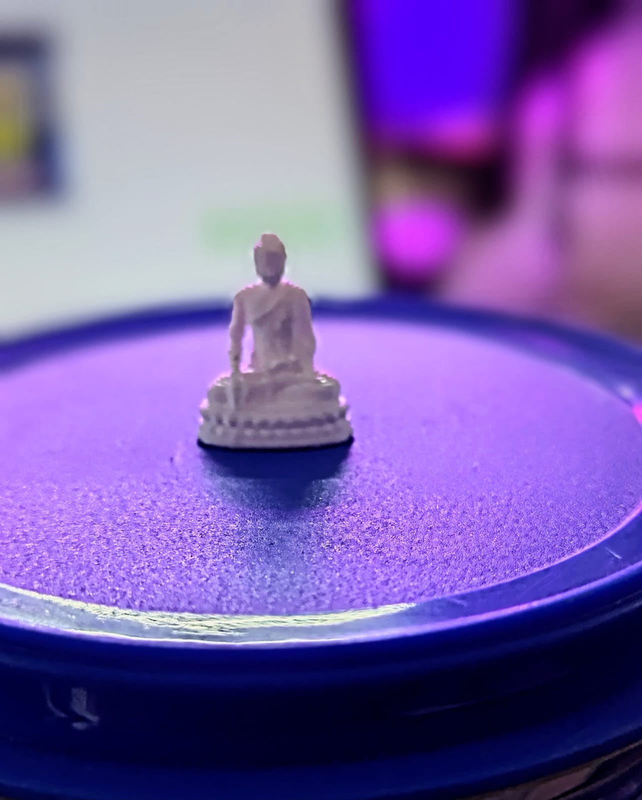 3D Buddha - Micro