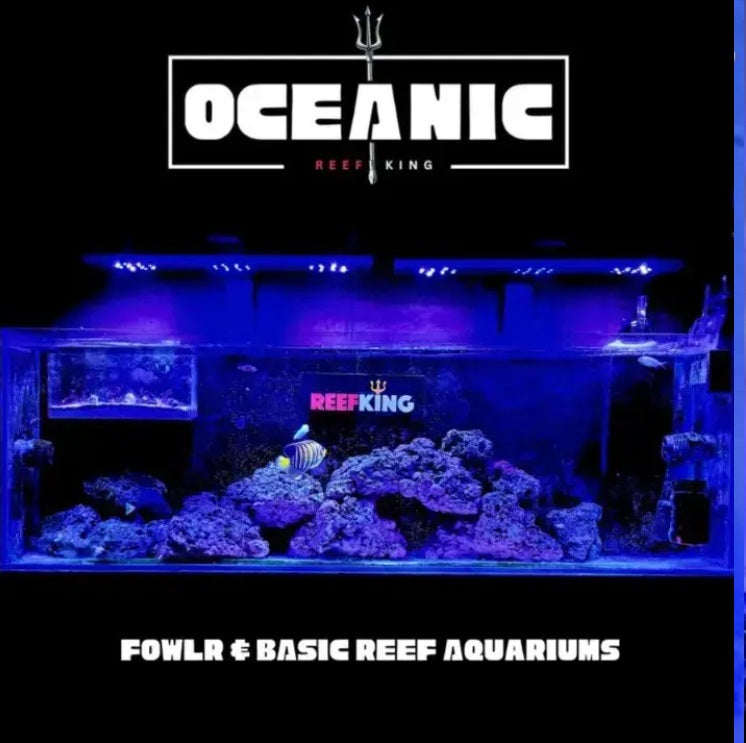 Oceanic Marine Light for FOWLR and Basic Reefs ( Iot APP Controlled)