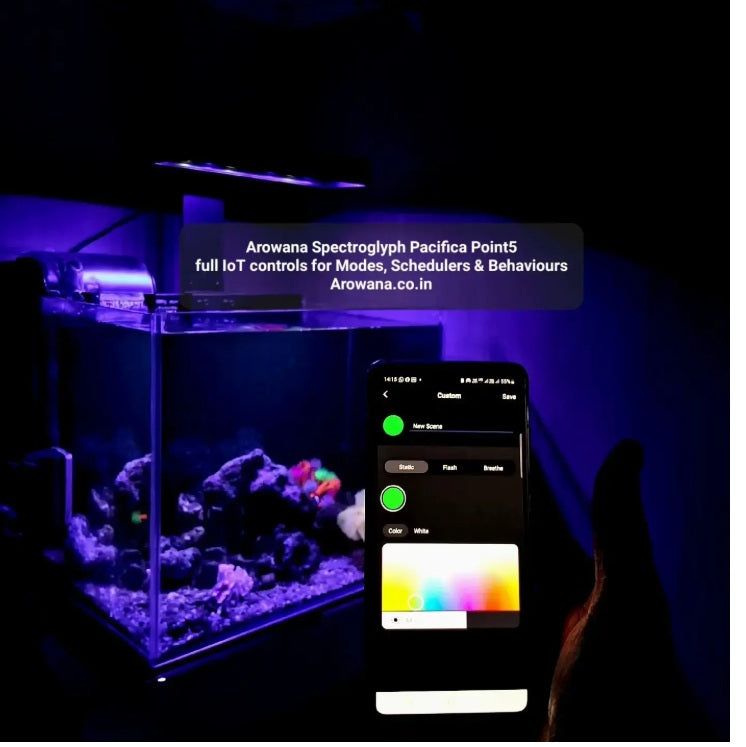 Pacifica Point5 Marine Reef Light