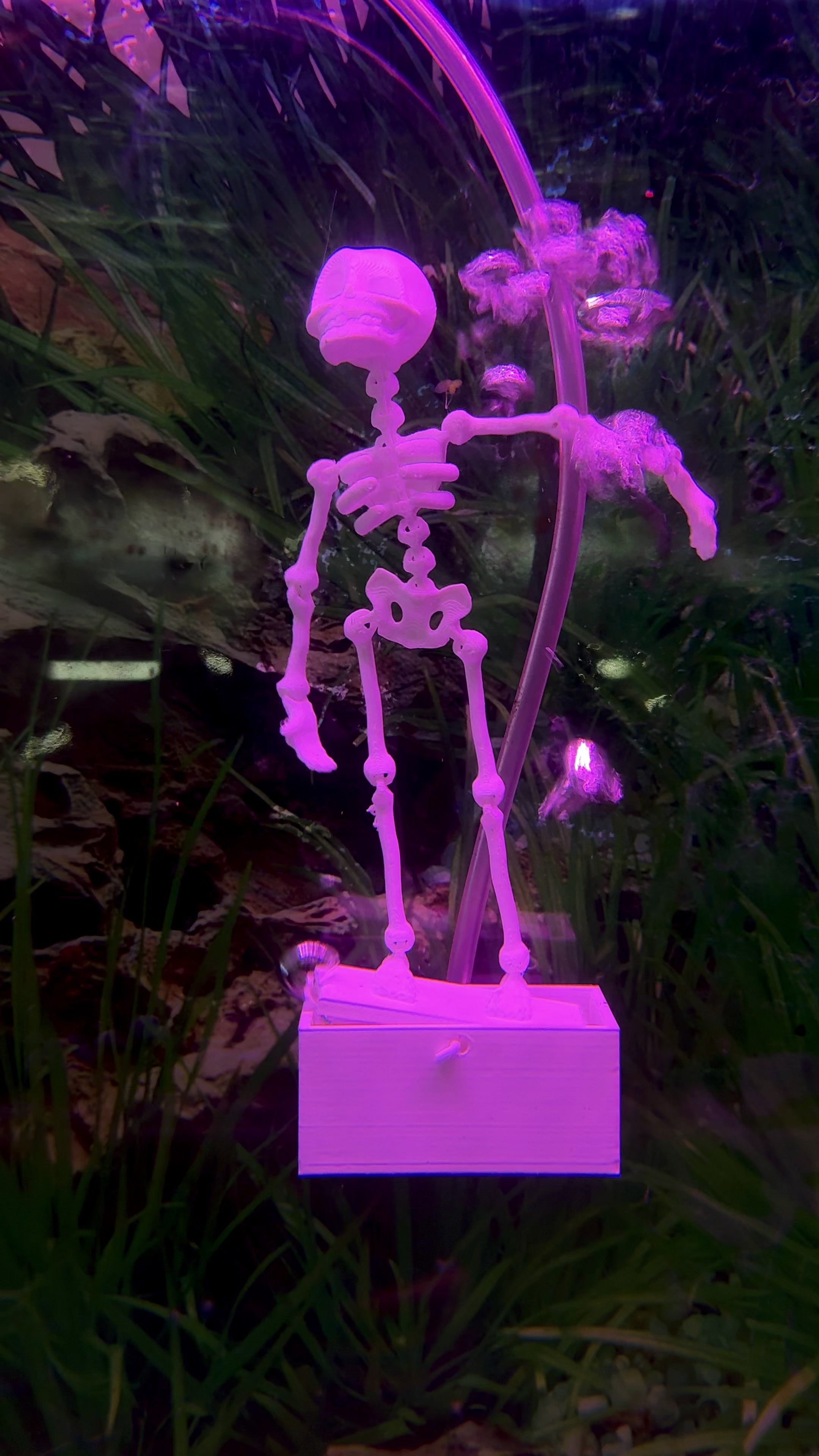3D Dancing Skeleton