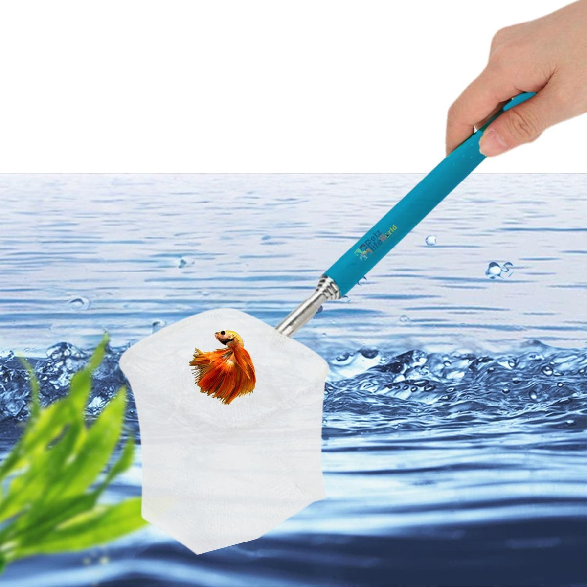 Square Shrimp Net