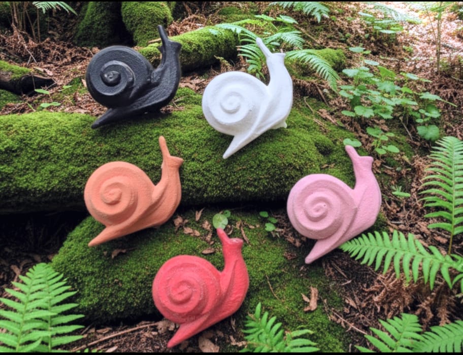 3D Snail - Pack of 5