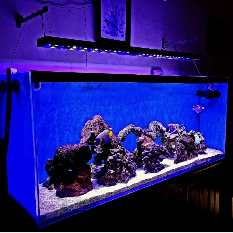 Pacifica Titan (4 Feet Back Mountable/Hangable Reef Light)
