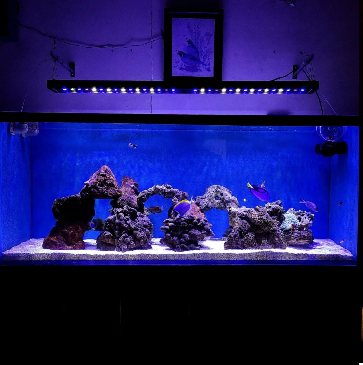 Pacifica Titan (4 Feet Back Mountable/Hangable Reef Light)