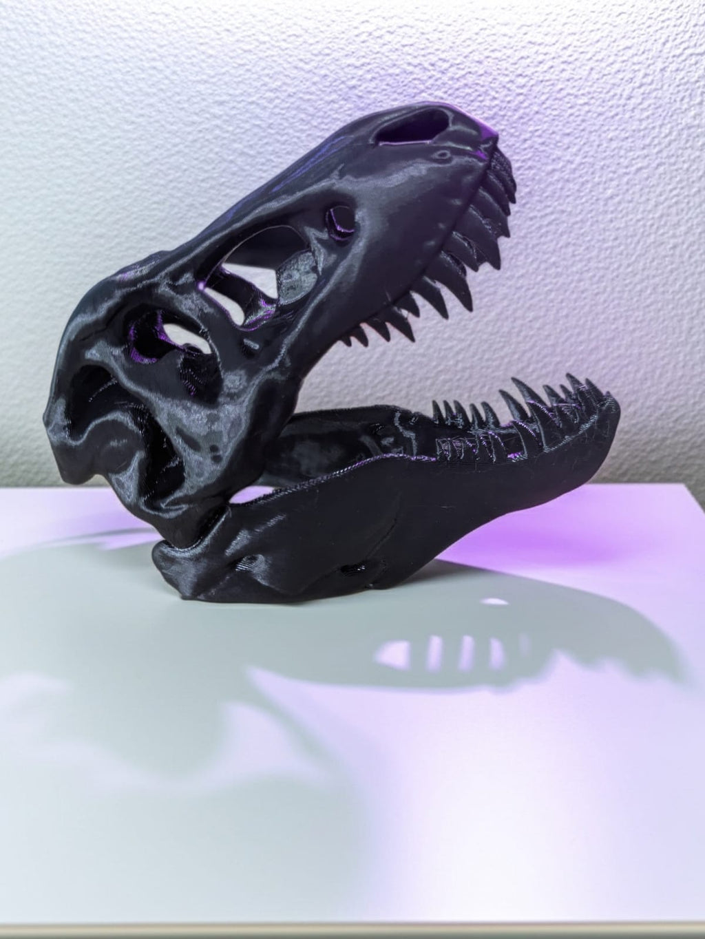 T-Rex Skull - Small