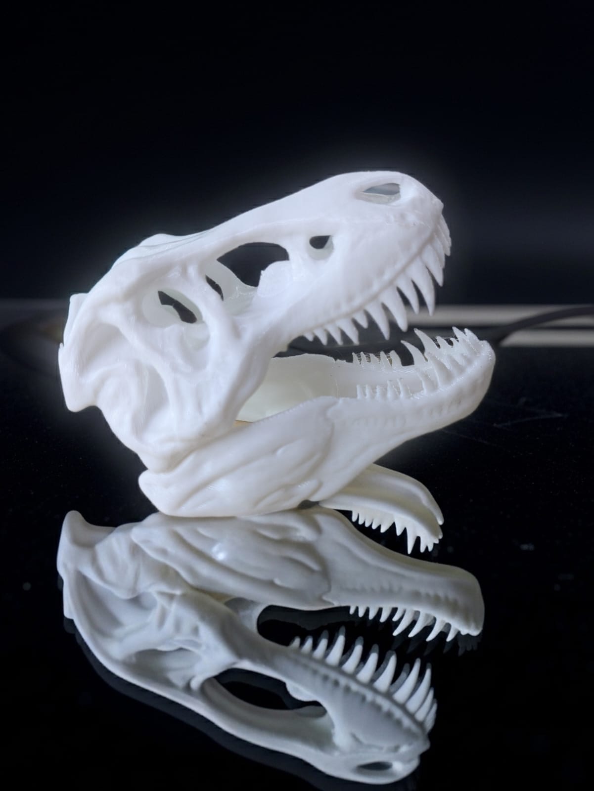 T-Rex Skull - Small