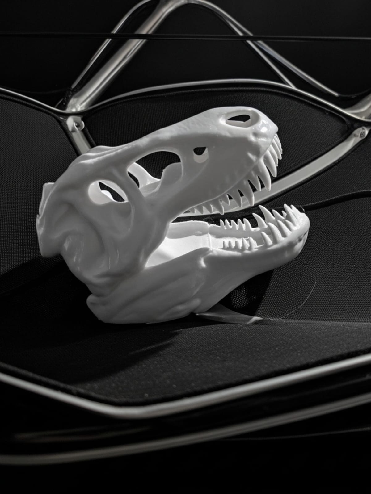 T-Rex Skull - Small