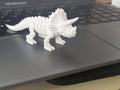 3D Triceratops Dino Single