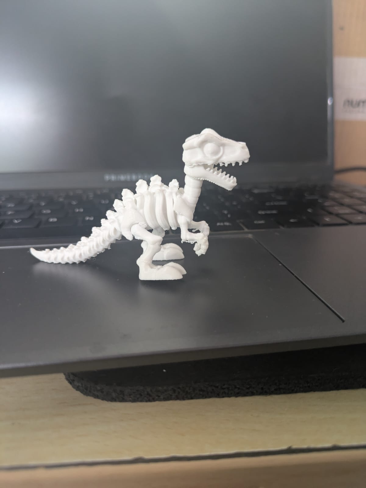 3D Velociraptor Dino Single